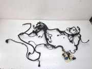 Motor Kabelbaum BMW 7 (F01, F02) 750 i 12517575189