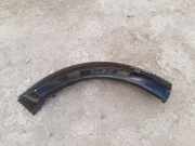 Blende Kotflügel links hinten Land Rover Discovery III (L319)