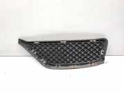 Gitter vorne unten BMW X1 (E84) sDrive 18 d 7303755