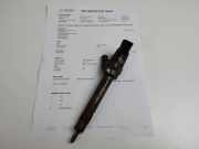 Einspritzdüse BMW X3 (F25) xDrive 20 d 7810702