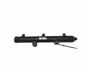 Einspritzleiste Land Rover Range Rover Sport (L320) A2C20001330