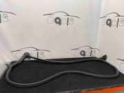 Türgummi rechts vorne Audi A5 (F53) 8W6831708