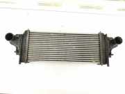 Ladeluftkühler Mercedes-Benz R-Klasse (W251) 2515000000