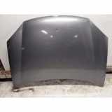 Motorhaube VW GOLF PLUS (5M1, 521) 1.4 16V