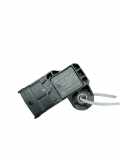 Mapsensor Opel Insignia A Sports Tourer (G09) 0261006077