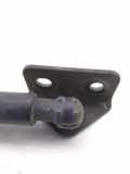 Heckklappendämpfer links Chevrolet Captiva (C100, C140) 95494360