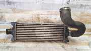 Ladeluftkühler Ford Transit Custom V362 Kasten (FY, FZ) FK8BA
