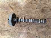 Ansaugkrümmer Ford EcoSport () E3BG6C525BA