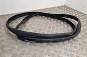 Türgummi links vorne Ford Transit Connect V408 Kasten ()