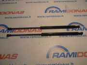 Heckklappe Gasdruckfeder rechts FIAT PANDA (169_) 1.2