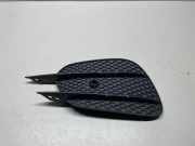 Gitter vorne unten MERCEDES-BENZ E Coupe (C238) E 400 4-matic (238.366) A2138856700
