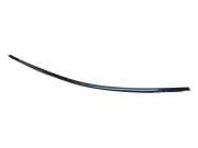 Dachleiste links BMW 3 Touring (F31) 330 d xDrive A25112010