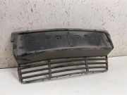 Gitter vorne unten BMW 5 (E34) 524 td 1934337