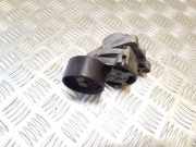 Umlenkrolle für Keilrippenriemen Renault Espace IV (K) 8200761529