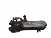 Abgaskühler Audi A6 Avant (4F, C6) 03G131513J