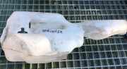 Fensterwaschtank MERCEDES-BENZ SPRINTER 3-t (903) 308 D 2.3
