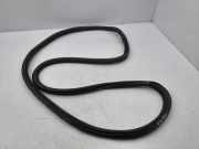 Türgummi rechts vorne Audi A1 Sportback (GBA)