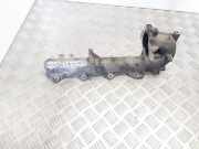 Ansaugbrücke RENAULT LAGUNA II Grandtour (KG0/1_) 2.0 dCi (KG1T)