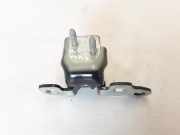 Türscharnier hinten links Renault Zoe (BFM) 824014370R