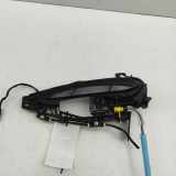 Türaußengriff vorne links BMW X5 (G05) xDrive 30 d Mild-Hybrid 7470525