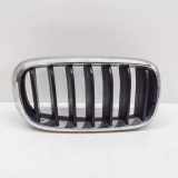 Gitter Grill vorne rechts BMW X5 (F15, F85) xDrive 30 d 7316058 7316054