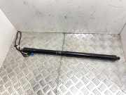 Gasfeder im Kofferraum links PORSCHE PANAMERA (970) 4.8 S 97051257304