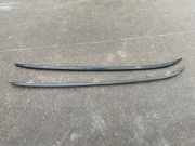 Dachreling links BMW X1 (F48) xDrive 20 i 150520181915