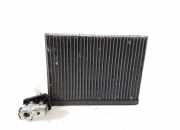 A/C Matrix Heater MERCEDES-BENZ R (W251, V251) R 350 CDI 4-matic (251.023, 251.123) A1648300158