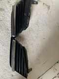 Vorderer oberer Gitter NISSAN PRIMERA Estate (WP12) 2.2 dCi 62320AU300