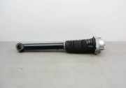 Stoßdämpfer hinten links LAND ROVER DISCOVERY V (L462) 3.0 D 4x4 E4-SR6-Z022A00