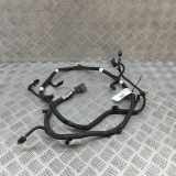 Kabelbaum Hinteren Parksensoren