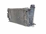 Ladeluftkühler Renault Espace V (JR) 144969690R