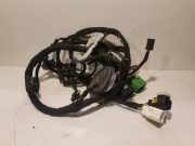 Kabel der vorderen linken Tür PEUGEOT 3008 II SUV 1.5 BlueHDi 130 9829069980