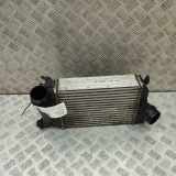 Ladeluftkühler Renault Kadjar (HA, HL) 144614EA0AG