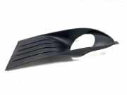 Blende Nebelscheinwerfer Dodge Journey () 05178285AB