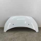 Motorhaube FORD TRANSIT CUSTOM Minibus / passenger 2.2 TDCi PBK21-A16612-AD