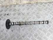 Nockenwelle MERCEDES-BENZ A (W169) A 180 CDI (169.007, 169.307) A64030