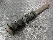 Stoßdämpfer links hinten BMW 5er Touring (E61) 6775059