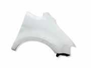 Kotflügel vorne links