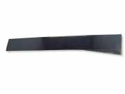 Türpolsterverkleidung hinten links VW PHAETON (3D_) 6.0 W12 4motion 3D4839903