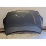 Motorhaube VW GOLF PLUS (5M1, 521) 1.4 TSI