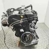 Motor AUDI A5 Sportback (F5A) 35 TDI DTN