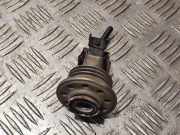 AdBlue Einspritzdüse LAND ROVER DISCOVERY V (L462) 3.0 D 4x4 FPLA189E3AB