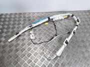 Airbag Dach rechts Ford Focus III (DYB) 1A6291600