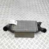 Ladeluftkühler FORD FIESTA VII 1.0 EcoBoost H1BG-6K775-AC