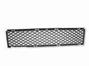 Gitter vorne unten BMW 7 (E65, E66, E67) 730 Ld 51117135573