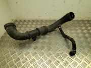 Schlauch für Luftversorgung Citroen Jumper III Bus () 1366671080