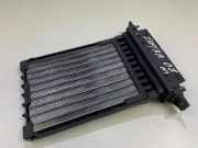 Elektrischer Schulterschulterkühler OPEL ZAFIRA B (A05) 1.9 CDTI 13204090 3011070