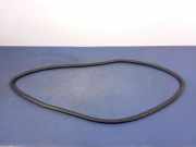 Türgummi links vorne VW Phaeton (3D) 3D4867366L