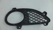 Kühlergrill unten Mercedes-Benz S-Klasse CL Coupe (C215) 2158850822